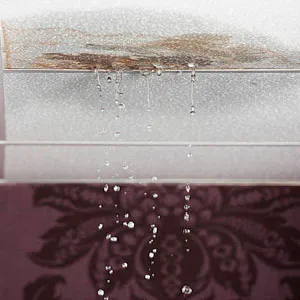 Appliance Leak Insurance