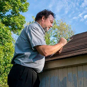 Damage Adjuster