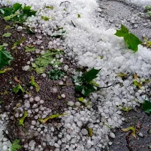 Hail Damage Claim