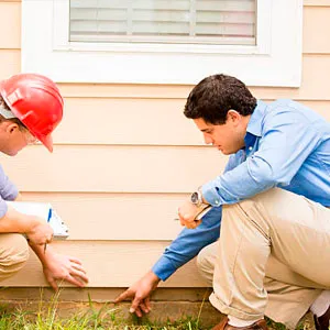 Home Insurance Adjuster