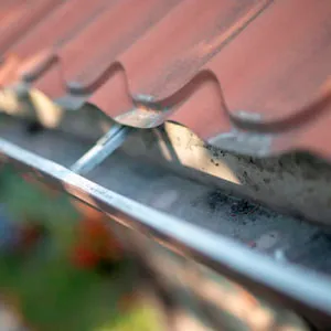 Install Gutter Guards