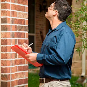 Loss Adjuster