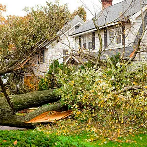 Making the Switch to wind damage