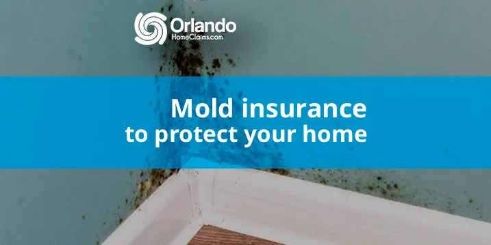 Mold insurance to protect your home