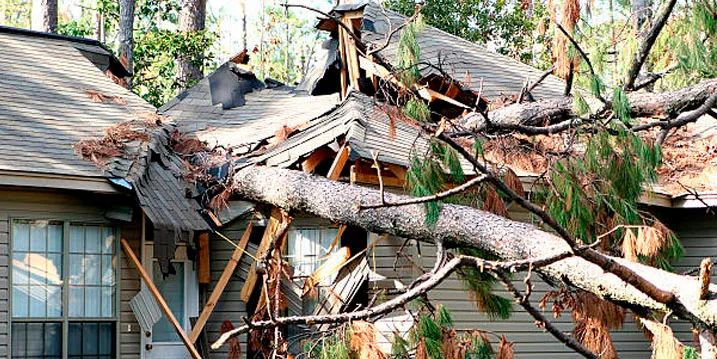 Wind damage Florida