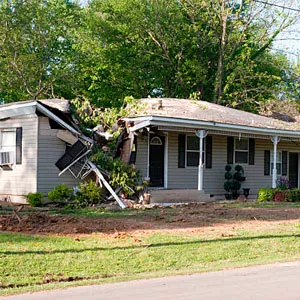 Wind damage claims florida