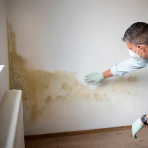 claim mold insurance