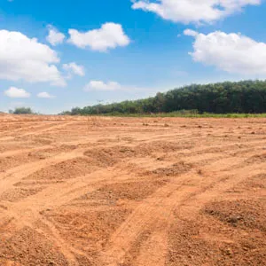field property