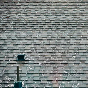 hail insurance claim