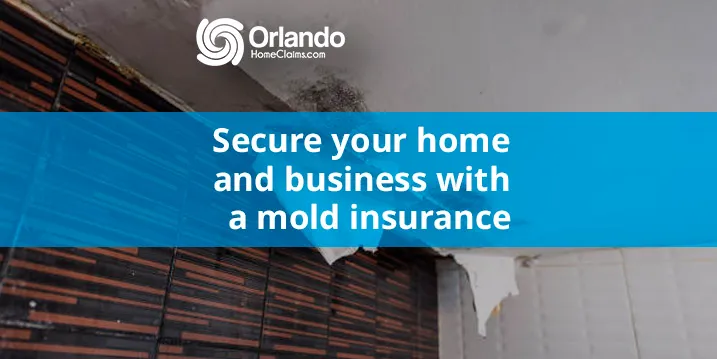 Secure your home and business with a mold insurance