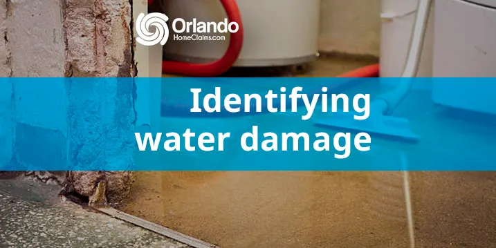 identifying water damage