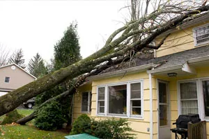 Storm Damage