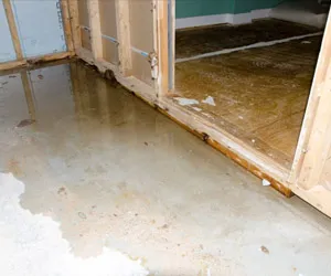 insurance adjuster water damage